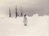 Emperor penguin with Discovery in background